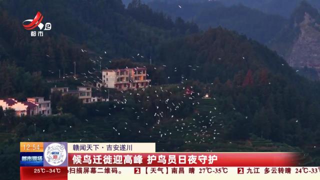 【赣闻天下】吉安遂川：候鸟迁徙迎高峰 护鸟员日夜守护