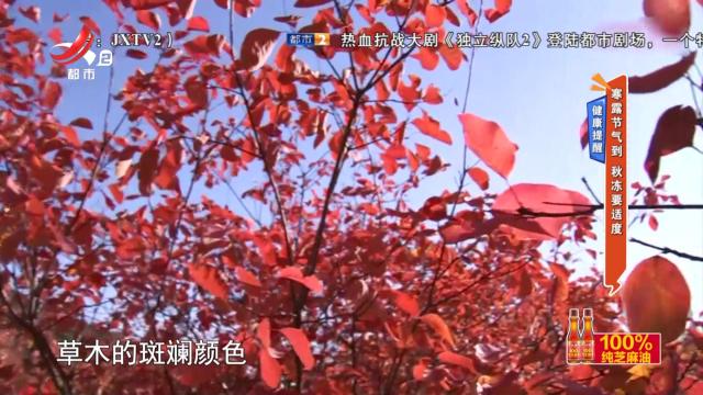 健康提醒：寒露节气到 秋冻要适度