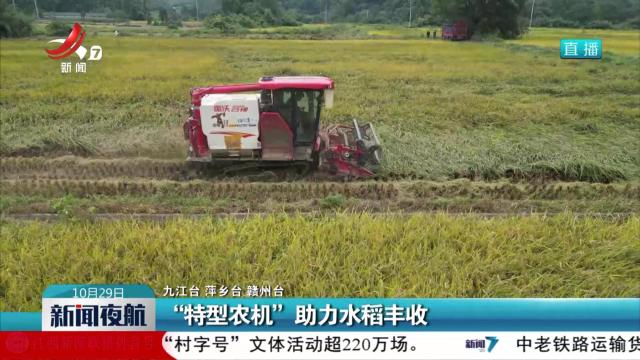 “特型农机”助力水稻丰收