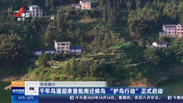 都市现场20251016