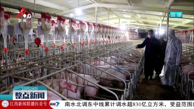 双胞胎集团：公司+农户 带动农民增收致富