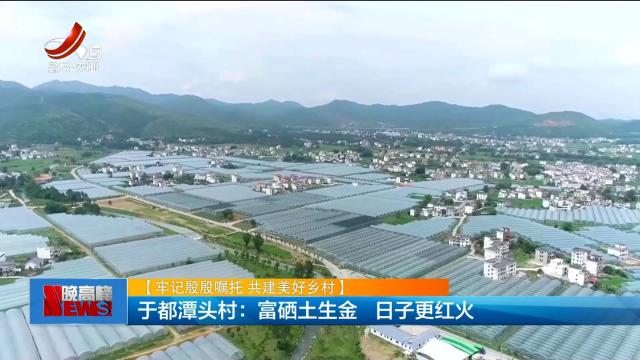 【牢记殷殷嘱托 共建美好乡村】于都潭头村：富硒土生金 日子更红火