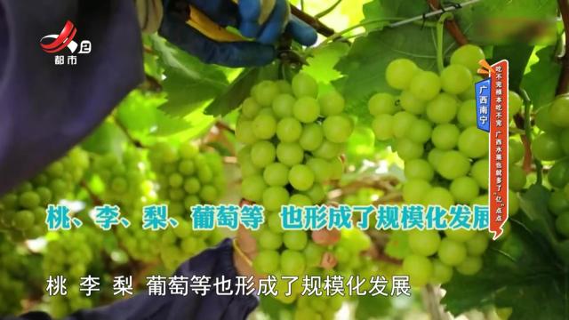 广西南宁——吃不完根本吃不完 广西水果也就多了“亿”点点