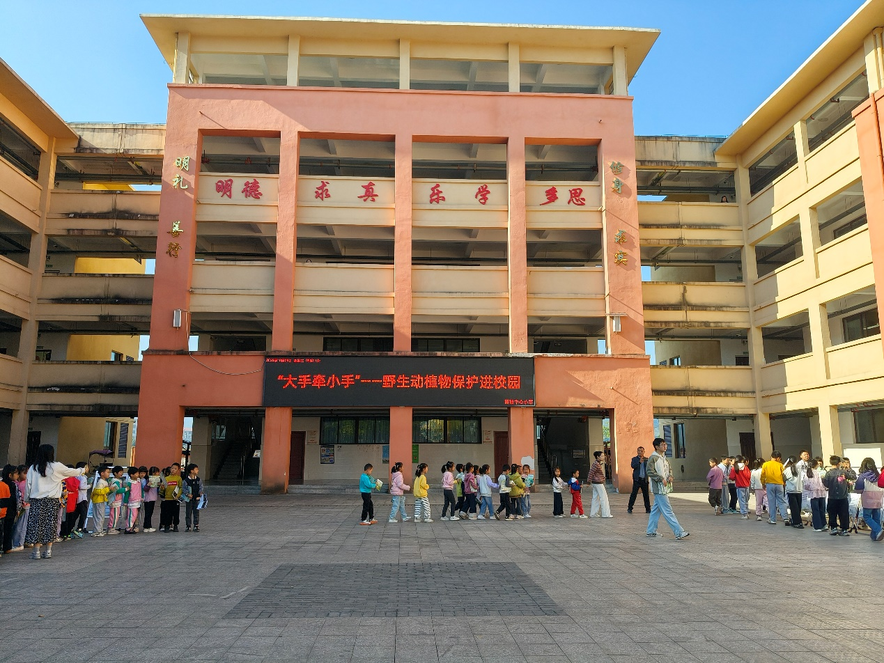宜黄县黄陂中心小学：“小手牵大手”——野生动植物保护进校园