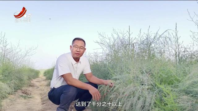 农问20251012