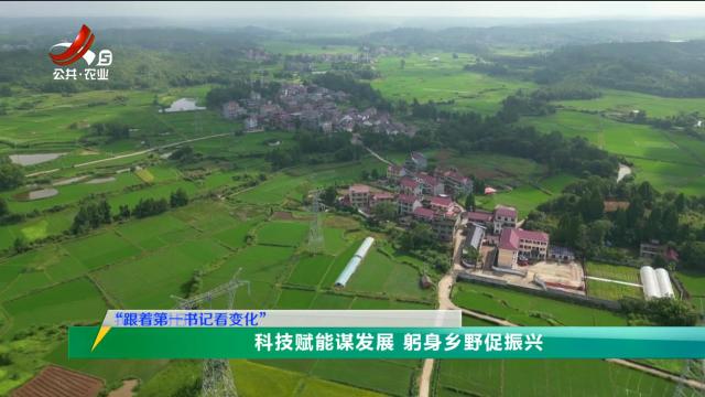三农头条20251002