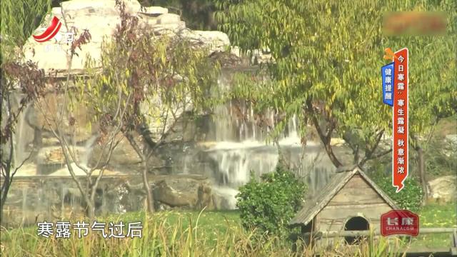 地宝当家20251008