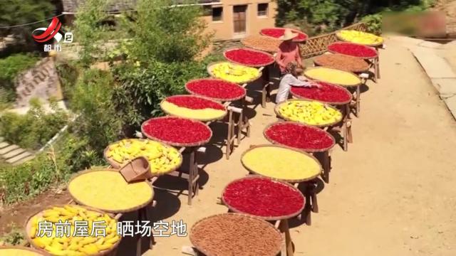 安徽歙县——又到一年晒秋时 皖南美景入画来