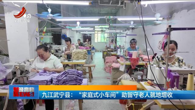 九江武宁县：“家庭式小车间”助留守老人就地增收