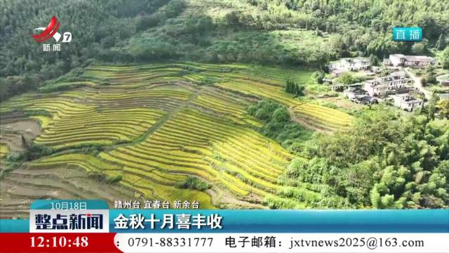 金秋十月喜丰收