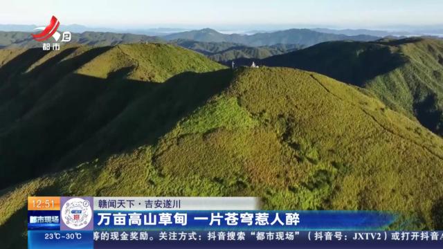 都市现场·午间版20251014