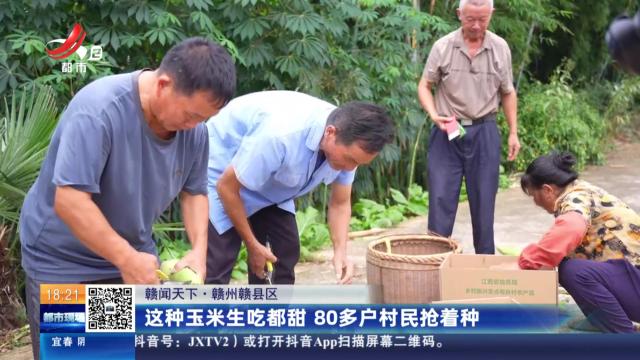 【赣闻天下】赣州赣县区：这种玉米生吃都甜 80多户村民抢着种