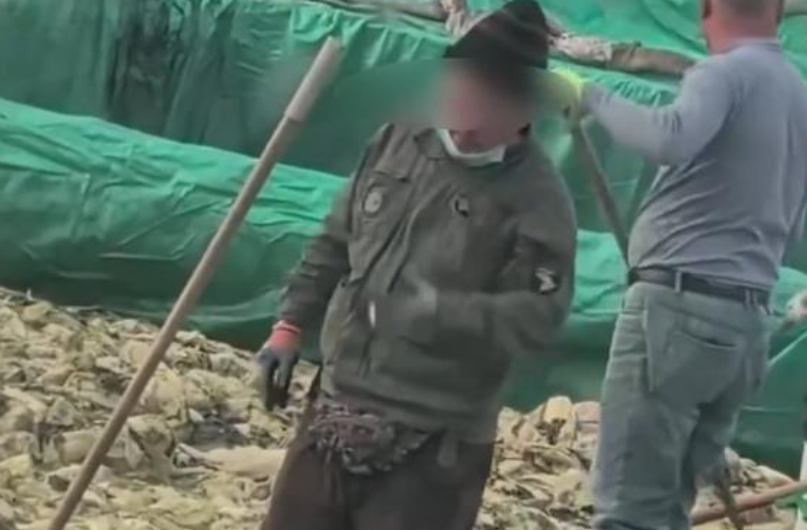 长天新闻丨江右锐评：食品安全为何总在酸菜坑里跌倒？