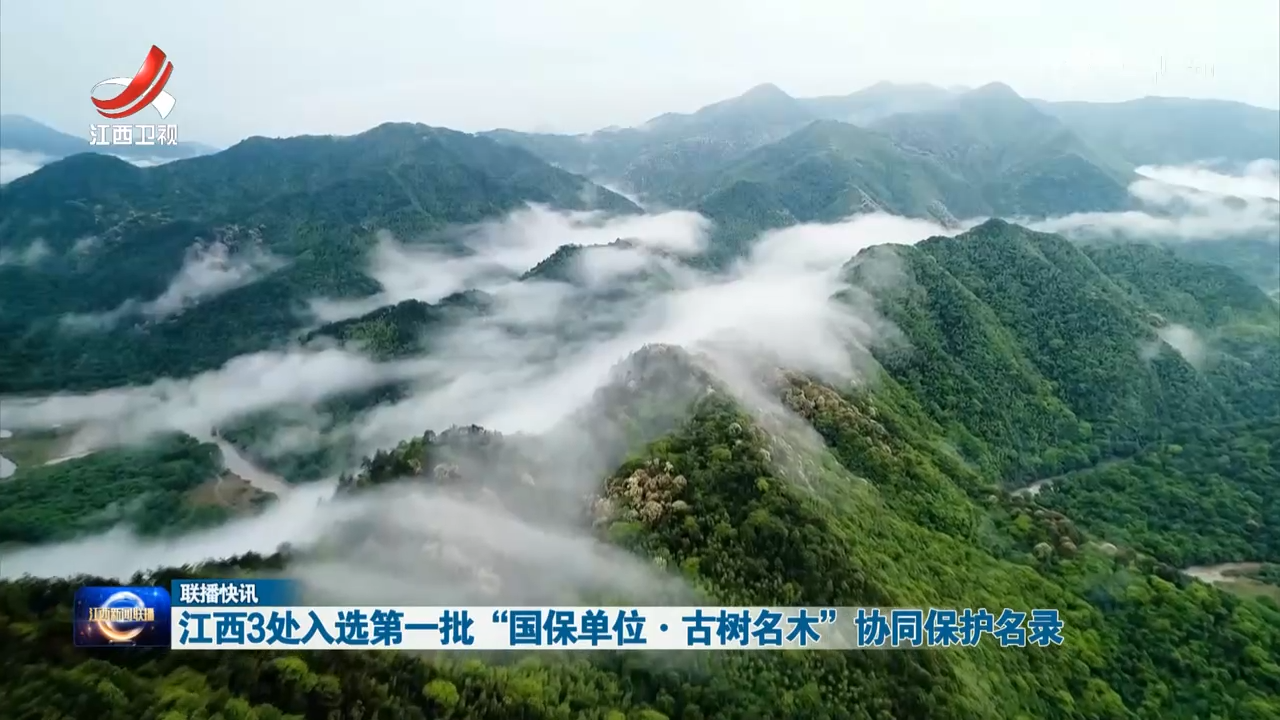 江西3处入选第一批“国保单位·古树名木”协同保护名录