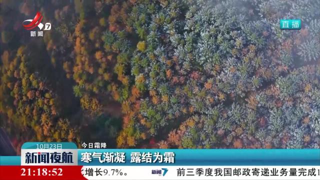 【今日霜降】寒气渐凝 露结为霜