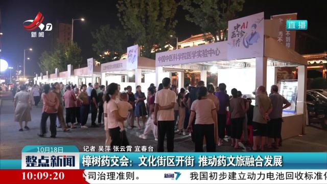 樟树药交会：文化街区开街 推动药文旅融合发展