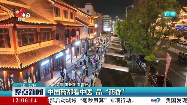 中国药都看中医 品“药香”