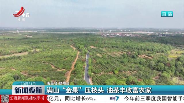 新闻夜航20251031