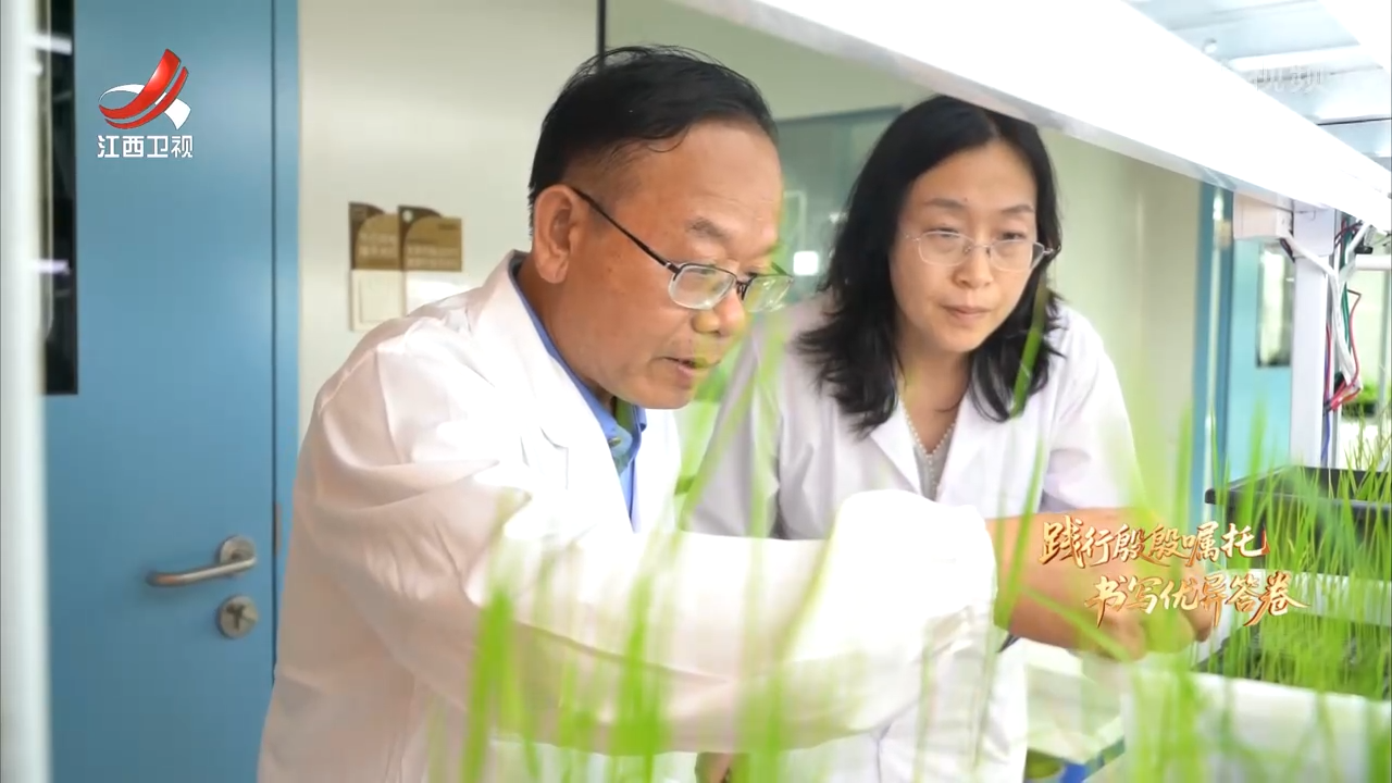 【践行殷殷嘱托 书写优异答卷】江西：转化成果 畅通产业“快车道”