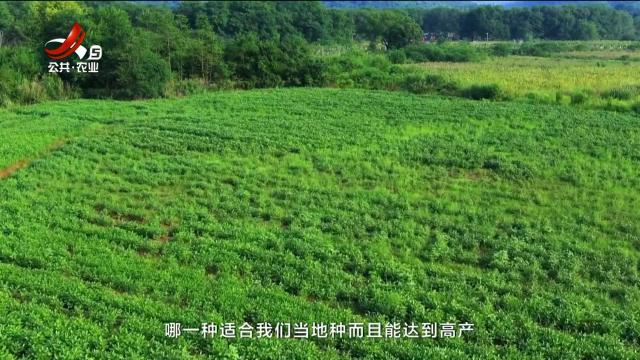 从田园到餐桌20251011