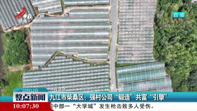 【一线调研】九江市柴桑区：强村公司“锻造”共富“引擎”