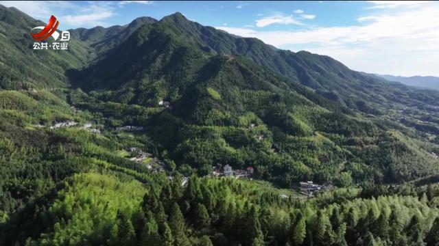 吉安遂川县：候鸟迁徙迎高峰 环志工作不停歇