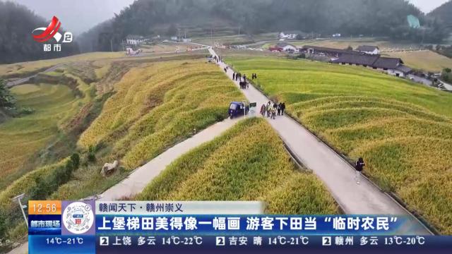 【赣闻天下】赣州崇义：上堡梯田美得像一幅画 游客下田当“临时农民”