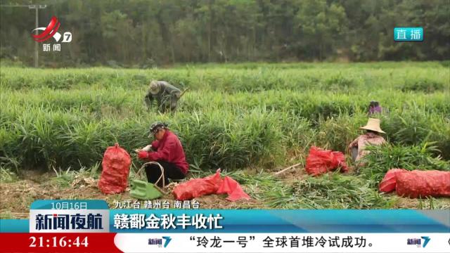 赣鄱金秋丰收忙