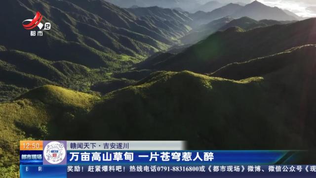 【赣闻天下】吉安遂川：万亩高山草甸 一片苍穹惹人醉