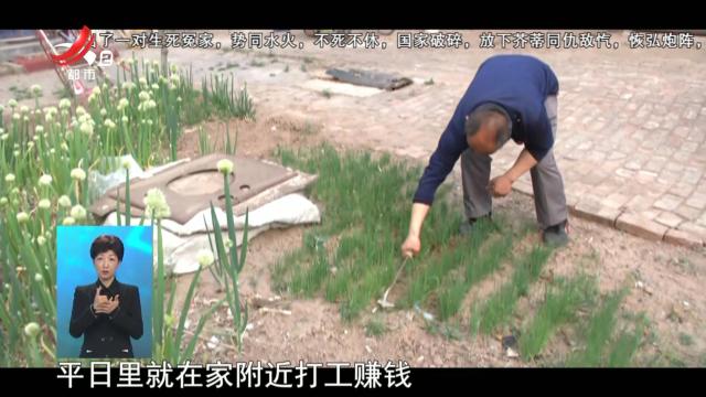 晚间800 20251031 逆行一个“伤”四个