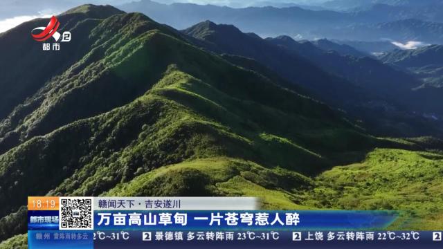 【赣闻天下】吉安遂川：万亩高山草甸 一片苍穹惹人醉
