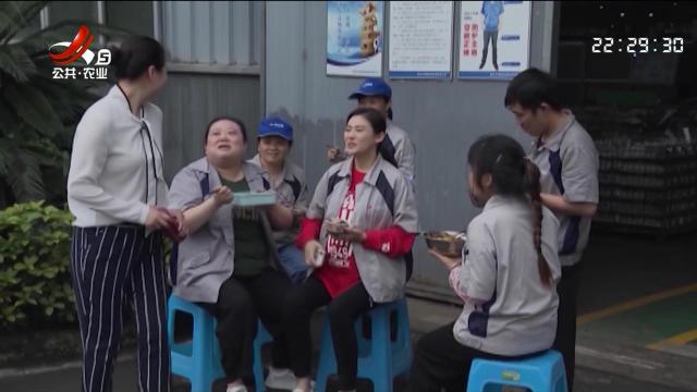 乡村栏目剧场20251027 早春