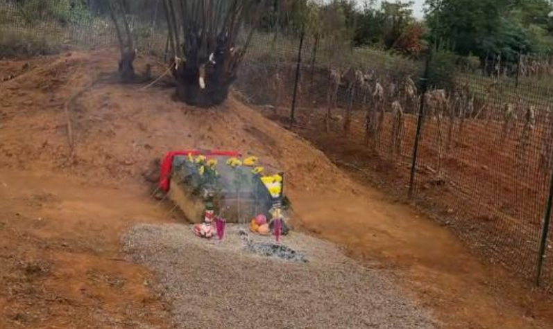 长天新闻丨江右锐评：让烈士墓保持应有的宁静和神圣