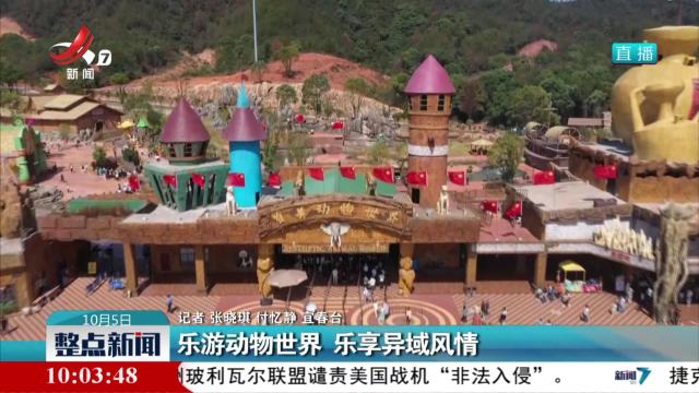 乐游动物世界 乐享异域风情