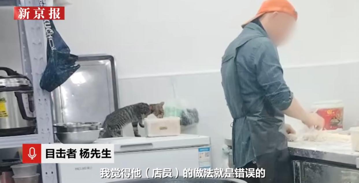 长天新闻丨江右锐评：用猫啃食过的肉馅制作包子？食品安全不容“侥幸”