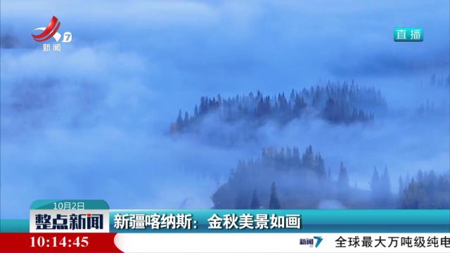 新彊喀纳斯：金秋美景如画