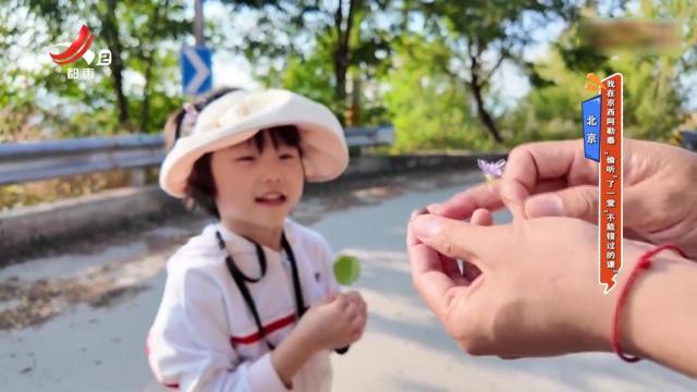 北京：我在京西阿勒泰“偷听”了一堂“不能错过的课” 