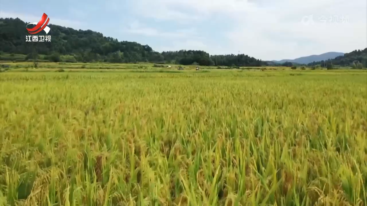江西新闻联播20251013