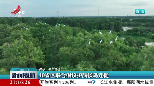 【保护“千年鸟道”】10省区联合倡议护航候鸟迁徙