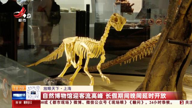 【放眼天下】上海：自然博物馆迎客流高峰 长假期间晚间延时开放