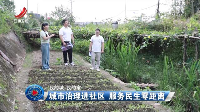 社会传真20251015 【我的城 我的家】城市治理进社区 服务民生零距离