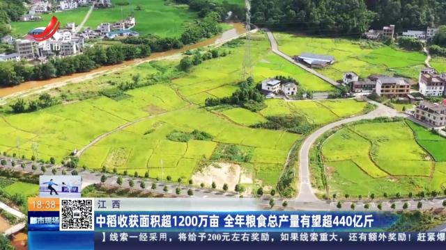 江西：中稻收获面积超1200万亩 全年粮食总产量有望超440亿斤