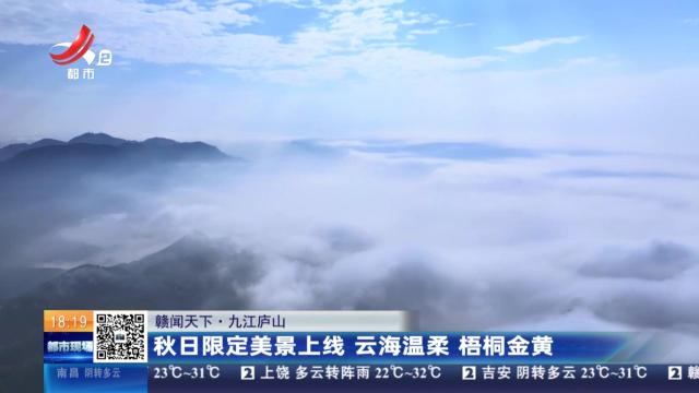 【赣闻天下】九江庐山：秋日限定美景上线 云海温柔 梧桐金黄