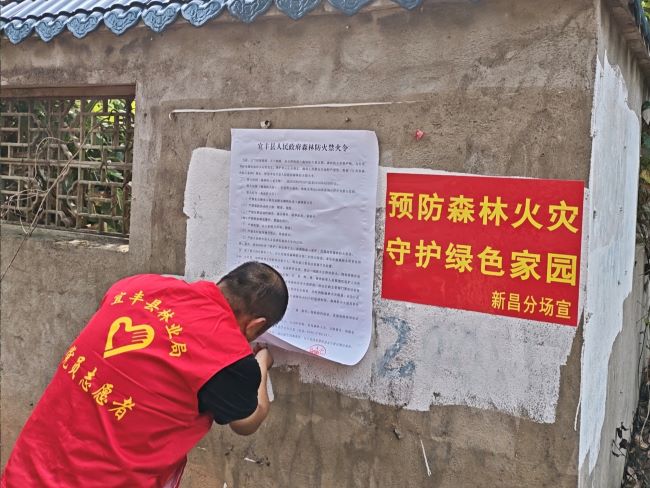 宜丰县采育联合林场：三措并举织密森林防火安全网