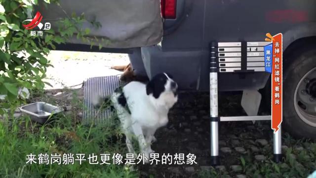 黑龙江：去掉“网红滤镜”看鹤岗
