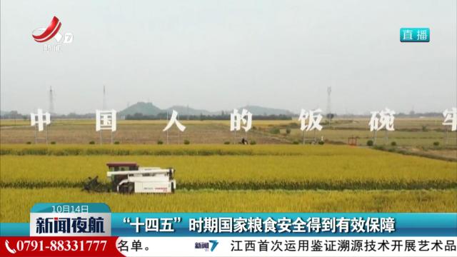 “十四五”时期国家粮食安全得到有效保障