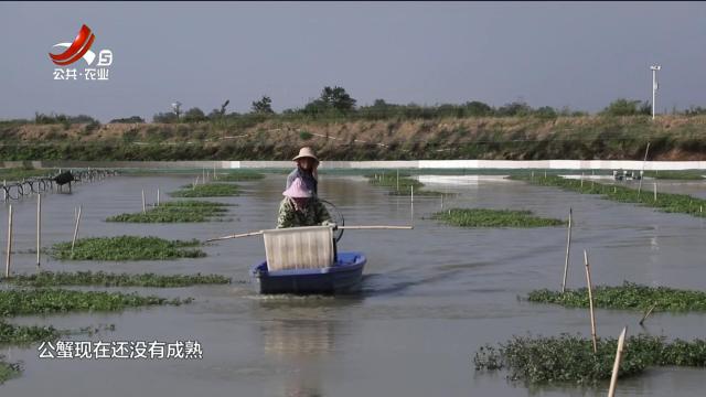 新闻晚高峰20251006