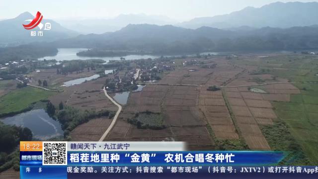 【赣闻天下】九江武宁：稻茬地里种“金黄” 农机合唱冬种忙