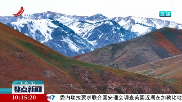 新疆特克斯：初雪绘就仙境画卷