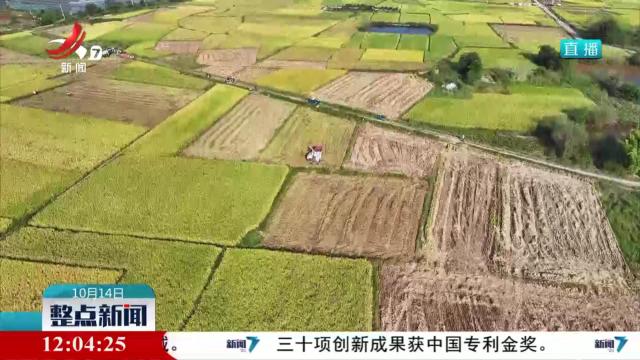 整点新闻20251014 12：00